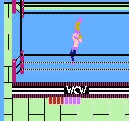 WCW世界摔角赛游戏图集-篝火营地
