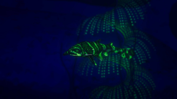 深海超越游戏图集