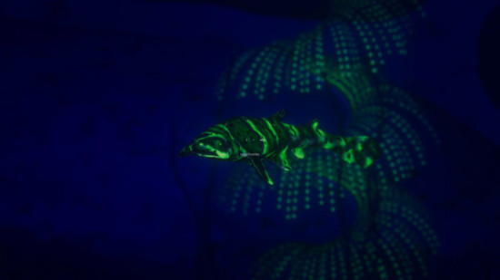 深海超越游戏图集-篝火营地