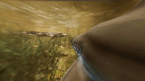 食人鲨游戏图集-篝火营地
