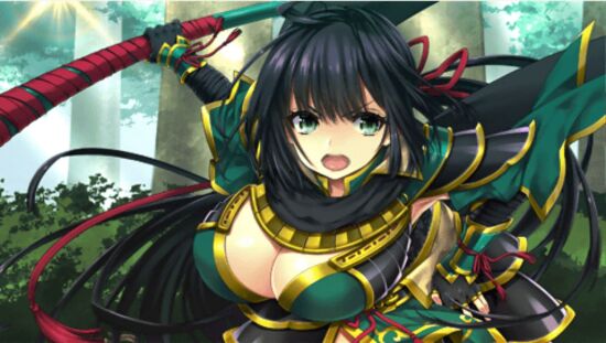 三极姬 2：天下霸统 狮之继承者游戏图集-篝火营地