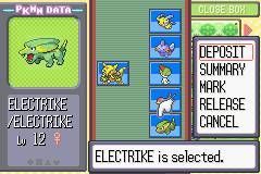 口袋妖怪红宝石游戏图集-篝火营地