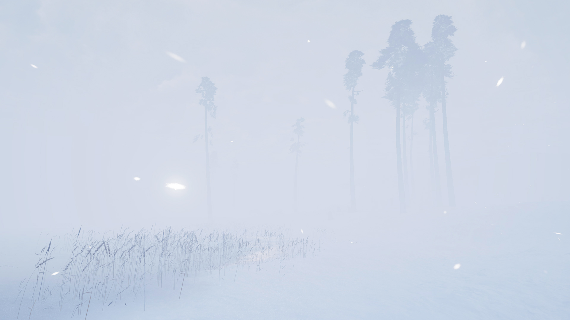 暴风雪 VR游戏图集