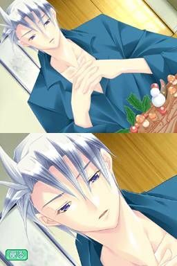 少女恋爱革命 DS游戏图集-篝火营地