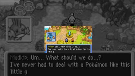 精灵宝可梦 不可思议的迷宫 暗之探险队/时之探险队游戏图集-篝火营地