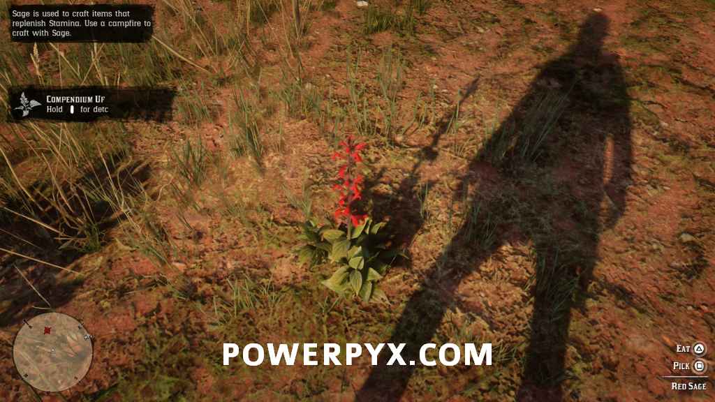 《荒野大鏢客2》普通植物採集位置 - 第46張