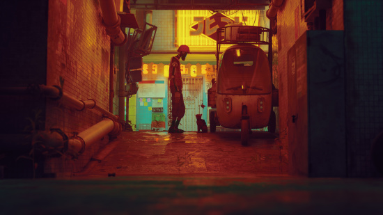 《迷失》制作人专访：一封洋溢着对猫咪的热情与爱意的情书