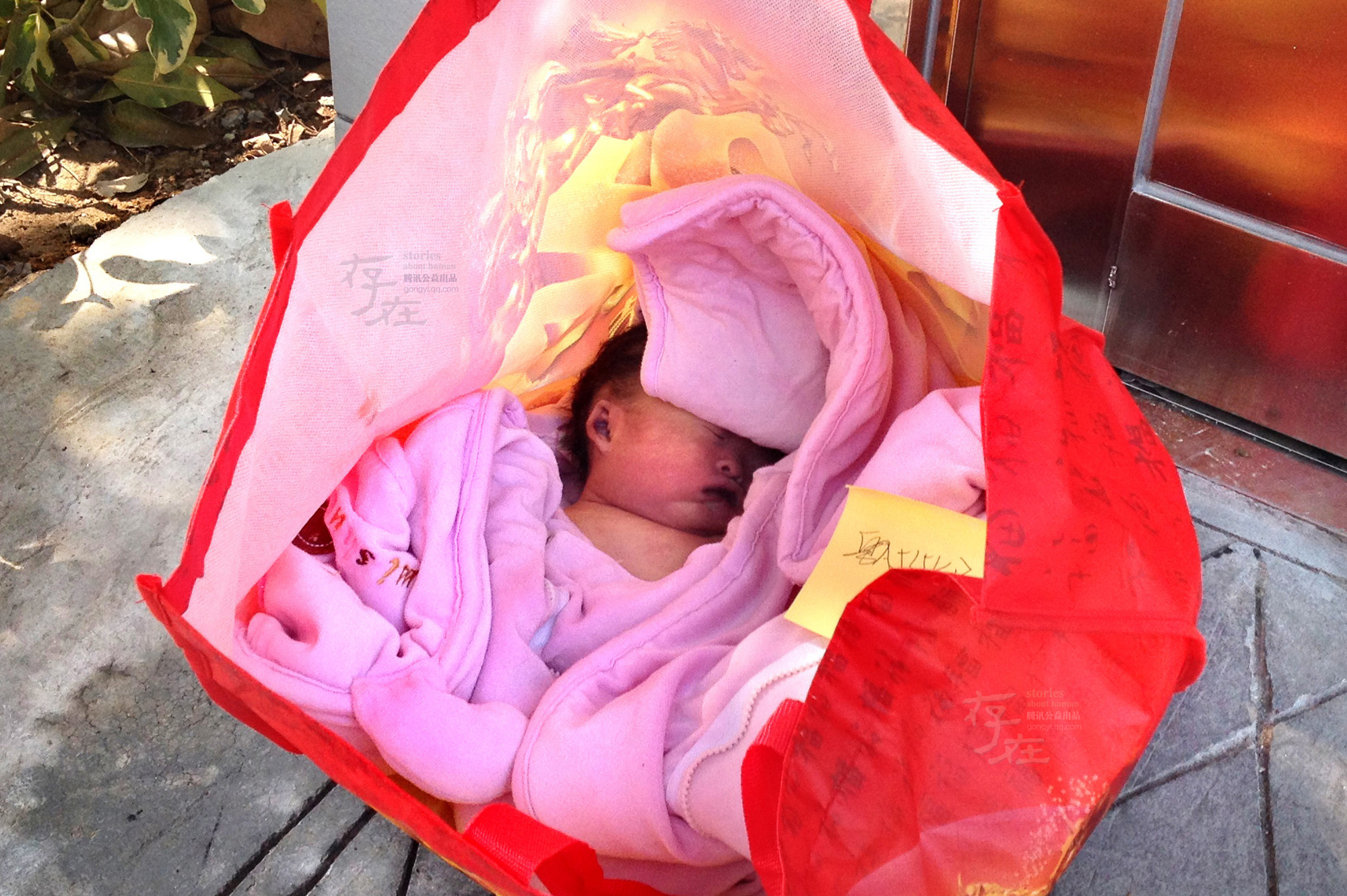 第一期弃婴之痛