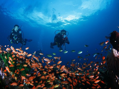 深圳南澳珊瑚潜水、烧烤 一日游