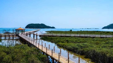 6月23-25号广东海陵岛浪漫三日游