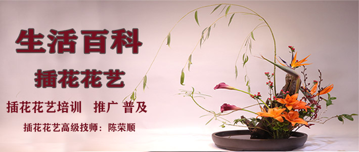 腾讯课堂 职业培训 考试提升在线教育平台