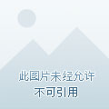 武汉市钢城第十六中学校徽设计大赛网络投票