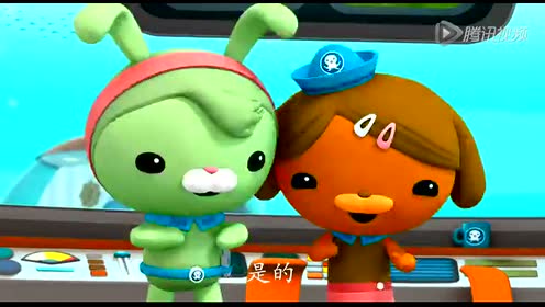 海底报告之沙丁鱼_高清1080p在线观看平台_腾讯视频