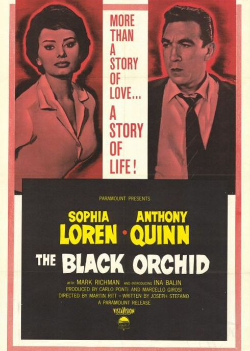 黑兰花_电影_高清1080p在线观看平台_腾讯视频